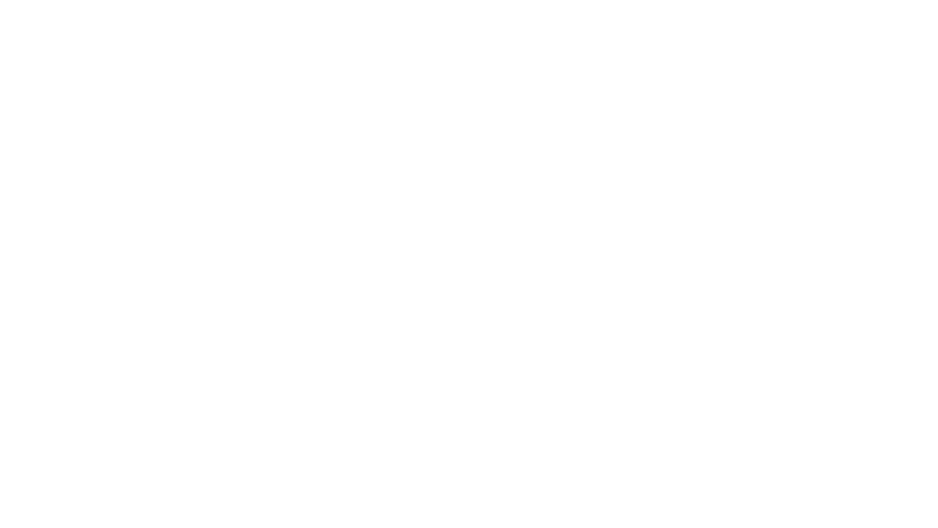 begrip 2